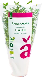 Timjan Eko