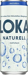 Kolsyrat vatten Naturell