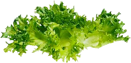 Sallat Krisp