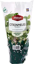 Citronmeliss Kruka KRAV Handelsträdgård
