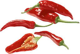 Peppar Röd