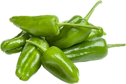 Pimiento de Padron Klass 1