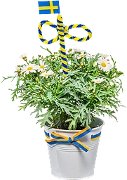 Arrangemang Margerit Midsommar Zink 11cm
