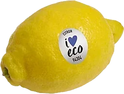 Citron Eko 1-pack Klass 1