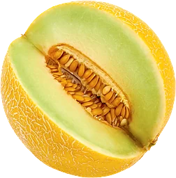 Melon Galia