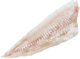 Sejfilé Utan Skinn