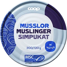 Musslor I Vatten