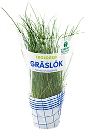 Kabbarp Gräslök Eko