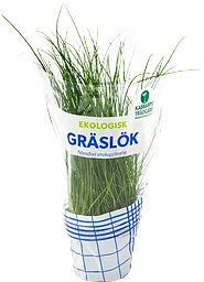 Gräslök Ekologisk 1-p