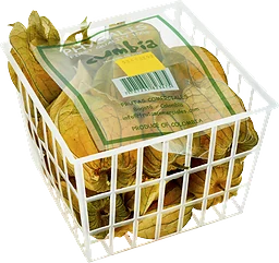 Physalis