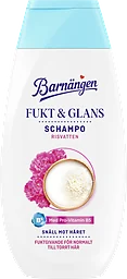 Schampo Fukt & glans
