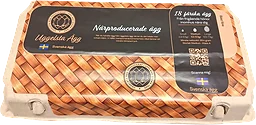 Ägg M 18-pack Frigående