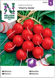 Rädisa Cherry Belle Rund