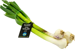 Färsk Vitlök Klass 1