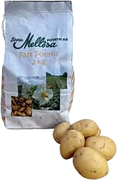 Potatis Fastkokande