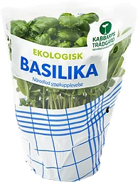 Kabbarp Basilika Eko