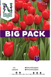 Höstlök Triumftulpan Röd BigPack