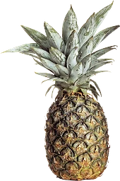Ananas