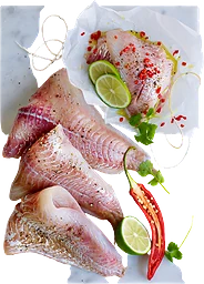 Sejfilé