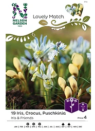Höstlök Iris/Crocus/Puschkinia