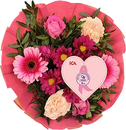 Bukett Kompakt 30cm Rosa Bandet