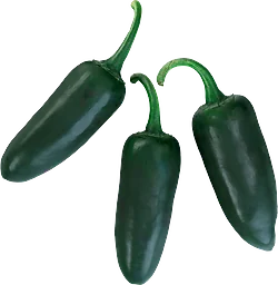 Mörk Jalapeno ca 25g Klass 1