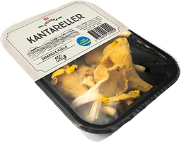 Kantareller Klass 1