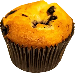 Blåbärsmuffins ca
