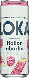 Kolsyrat vatten Hallon & rabarber