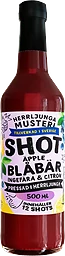 Shot Blåbär & Ingefära