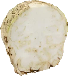 Rotselleri Delad