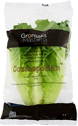 Sallat Cosmopolitan Klass 1