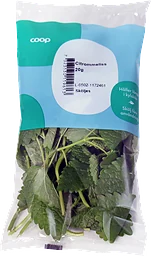 Citronmeliss