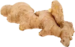 Ingefära