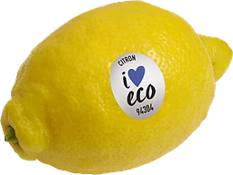 Citron eko ca Klass 1 ICA