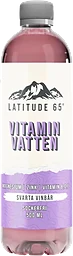 Vitamindryck Svarta vinbär