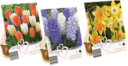 Blomsterlökar mix