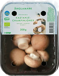 Kastanjechampinjoner Eko