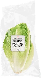 Sallat Cosmopolitan Klass 1
