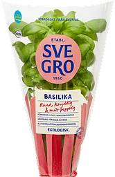 Basilika i kruka Ekologisk 1-p KRAV