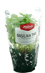 Basilika Thai Eko