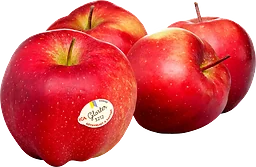 Äpple Gloster 4-pack Klass 1