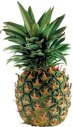 Ananas Extra Sweet 1-pack Klass 1 ICA