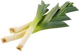 Purjolök