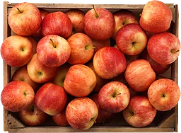 Äpple Eko