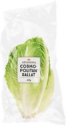 Cosmopolitan Klass 1