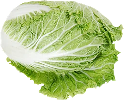 Salladskål