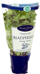 Bladpersilja