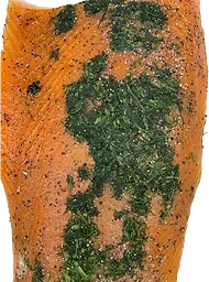 Gravad Lax i bit ca