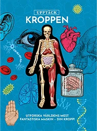 Upptäck kroppen